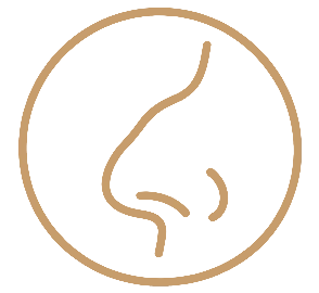 Giba o irregularidades en el dorso nasal