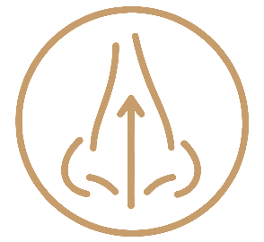 Nariz ancha, desviada o asimétrica